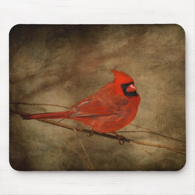 Mousepad cardinal masculino (Frente)