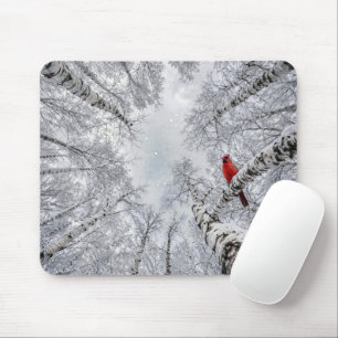 Mousepad Cardinal Vermelho em uma Floresta de Bétula Branca