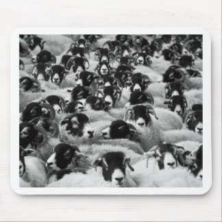 Mousepad CARGAS DE Rams de Preto e Branco