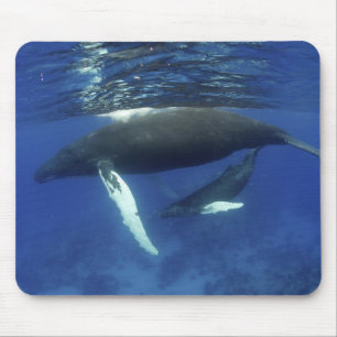 Mousepad Caribe, arquipélago das Grandes Antilhas,