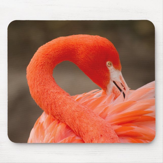 Mousepad Caribe flamingo (Frente)