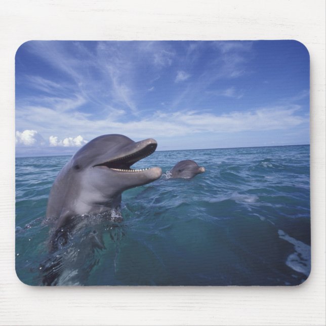 Mousepad Caribe, Gargalose (Frente)