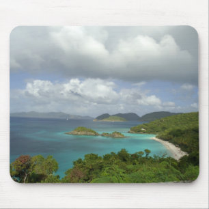 Mousepad Caribe, Ilhas Virgens Americanas, St. John, Tronco