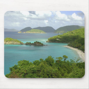 Mousepad Caribe, Ilhas Virgens dos EUA, St. John, Tronco 2