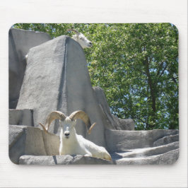 Mousepad carneiros