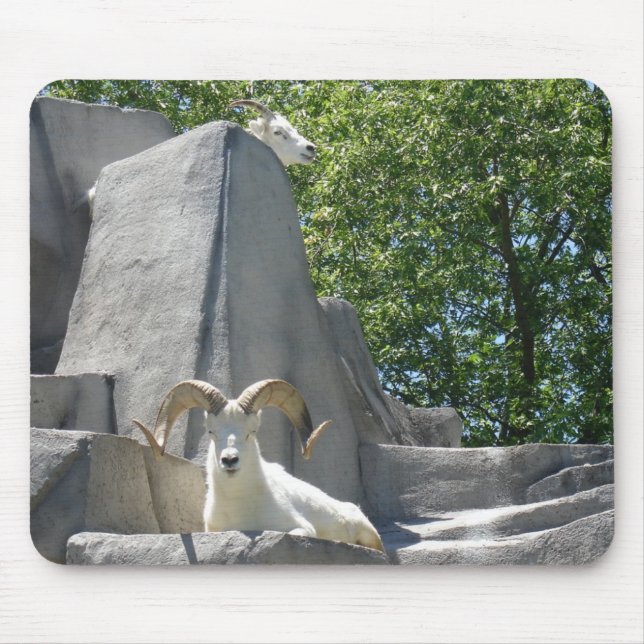 Mousepad carneiros (Frente)