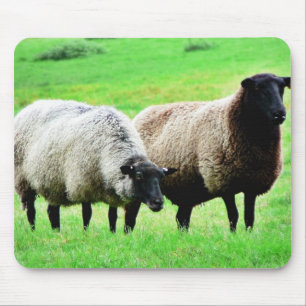 Mousepad Carneiros de cabeça negra