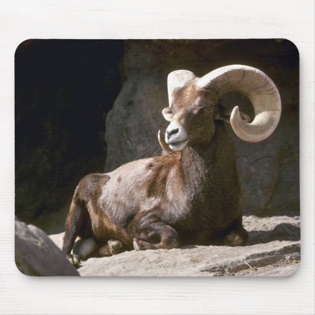 Mousepad Carneiros de veado selvagem do deserto (ram adulta (Frente)