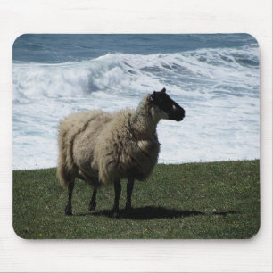 Mousepad Carneiros no litoral sul selvagem de Devon