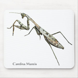 Mousepad Carolina Mantis