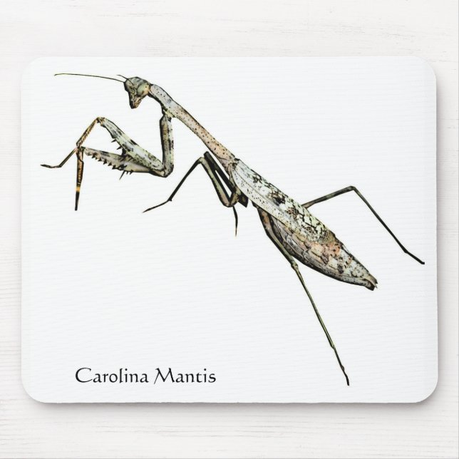 Mousepad Carolina Mantis (Frente)
