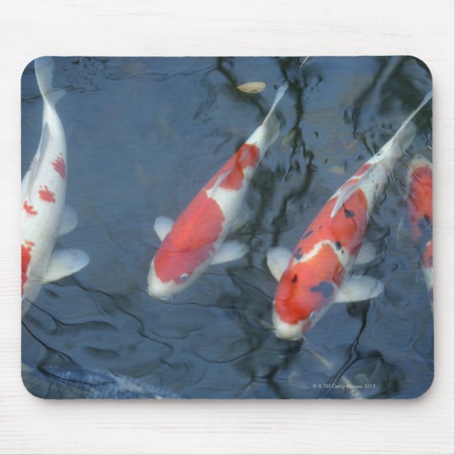 Mousepad Carpa de Koi na lagoa, vista de alto ângulo (Frente)