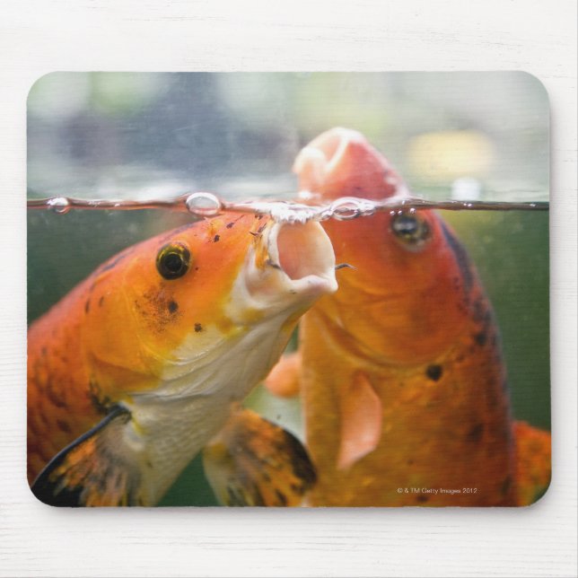Mousepad Carpas de Koi (Frente)