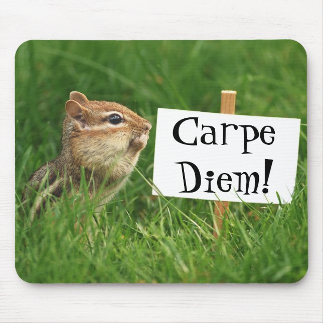 Mousepad Carpe Diem! Chipmunk com sinal (Frente)