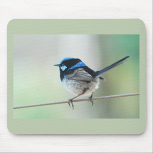 Mousepad Carriça azul pequena (magnífica fairywren)