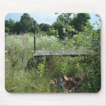 Carrinho do depósito de comboios