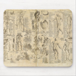 Mousepad Carta anatômica de Cyclopaedia 1728