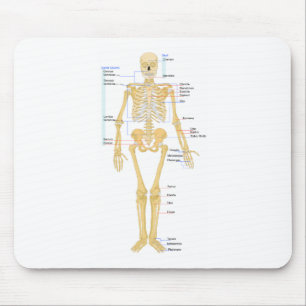 Mousepad Carta de esqueleto