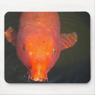 Mousepad Cartão postal de peixe Orange Koi