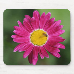 Mousepad Cartões de margarida pintados e muito mais