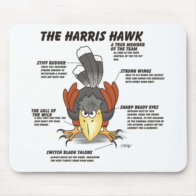 Mousepad Cartoon do Falcão de Harris (Frente)