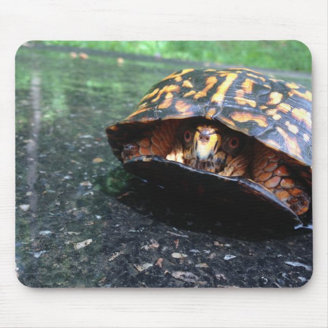 Mousepad Cartucho (Frente)