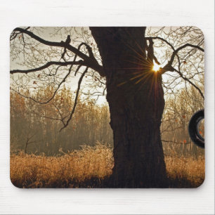 Mousepad Carvalho de outono
