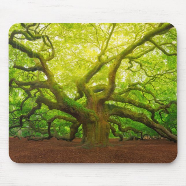 Mousepad Carvalho do anjo (Frente)