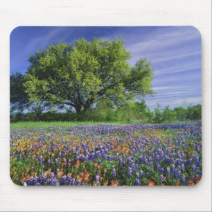 Mousepad Carvalho Vivo & Pincel de Pintura do Texas, e Texa