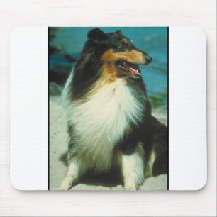 Mousepad Casaco áspero Tri Colorido do Collie
