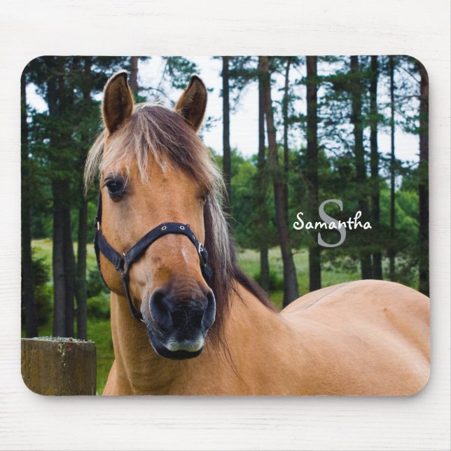Mousepad Casaco de rato de cavalo (Frente)