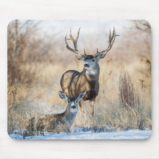 Mousepad Casal Buck | Mule Deer (Frente)