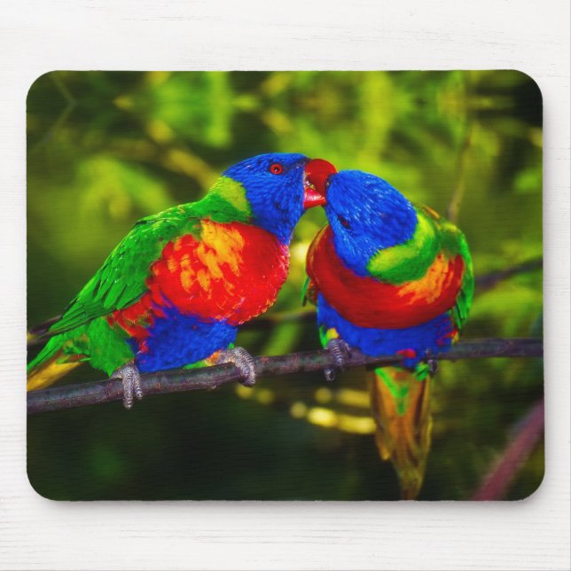 Mousepad Casal Colorido de Papagaios se Beijando (Frente)