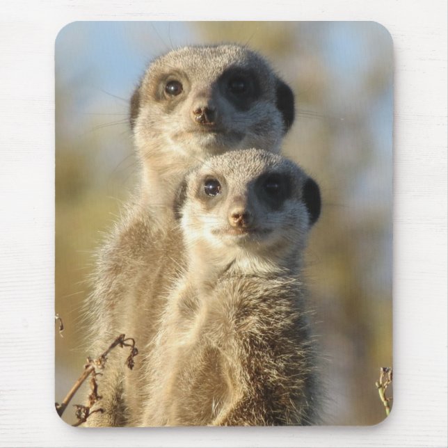 Mousepad Casal de Suricatas Foto Fofa (Frente)