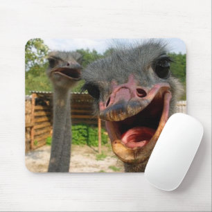 Mousepad Casal Funny Ostrich