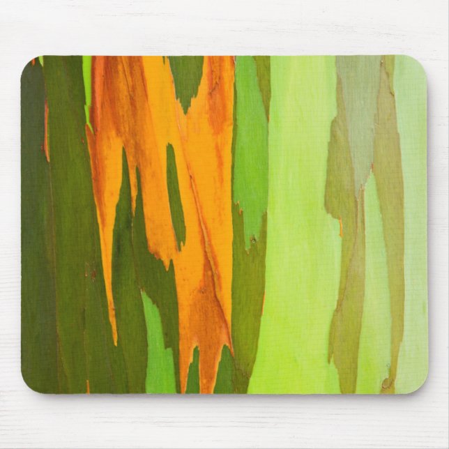 Mousepad Casca de Eucalipto Arco-íris, Havaí (Frente)
