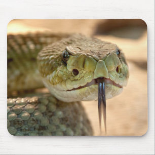 Mousepad Cascavel