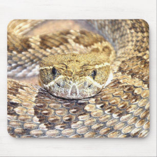 Mousepad Cascavel