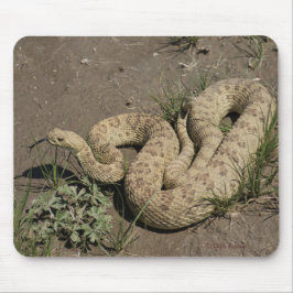 Mousepad Cascavel da pradaria R6