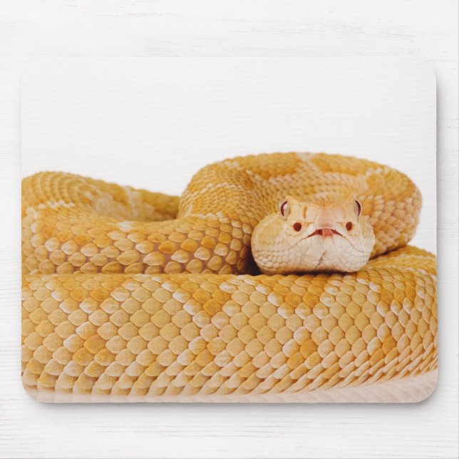 Mousepad Cascavel de diamondback ocidental de Albino (Crota (Frente)