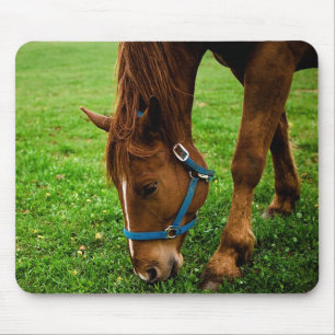 Mousepad Castanheiro-da-pastagem com faixa