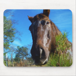 Mousepad Castanho e Creme Corante Canto Azul