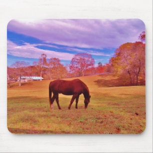 Mousepad > Castanho em um campo de cor sonâmbulo