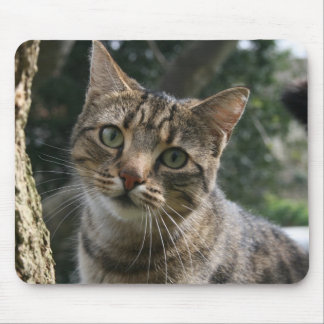 MOUSEPAD CAT