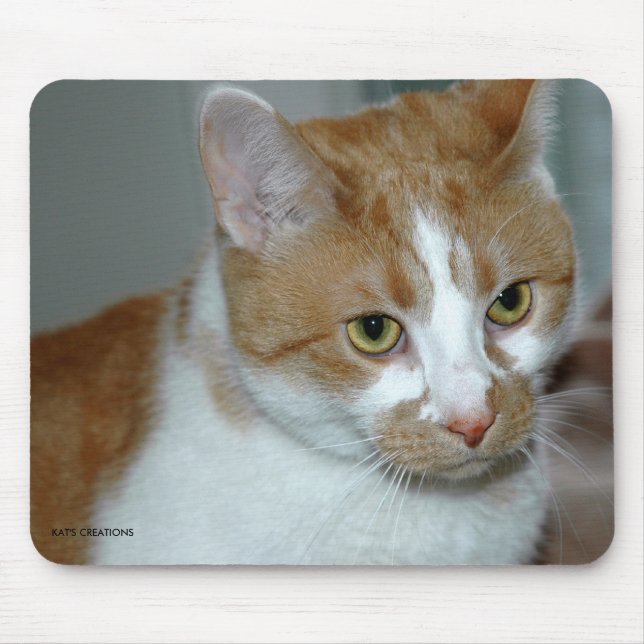 MOUSEPAD CAT (Frente)