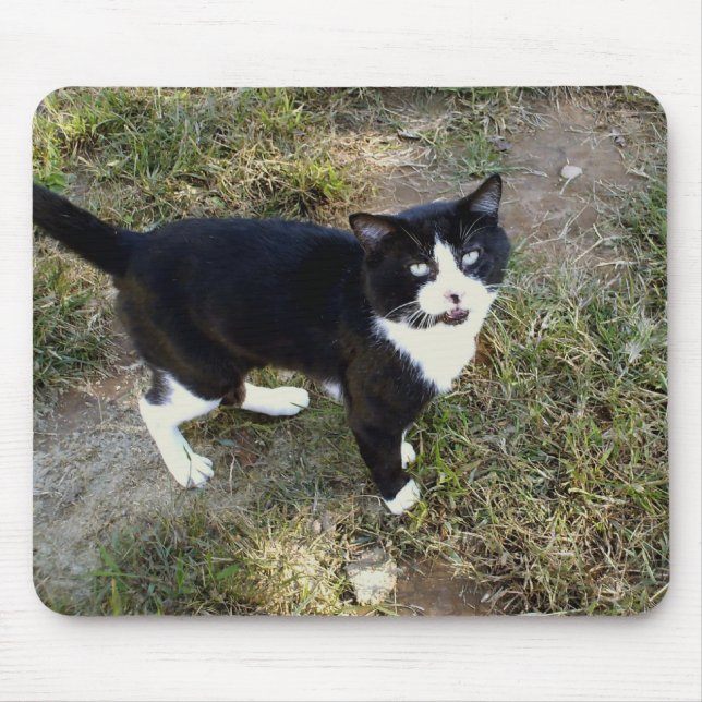 Mousepad Cat 10, Pad do Mouse (Frente)