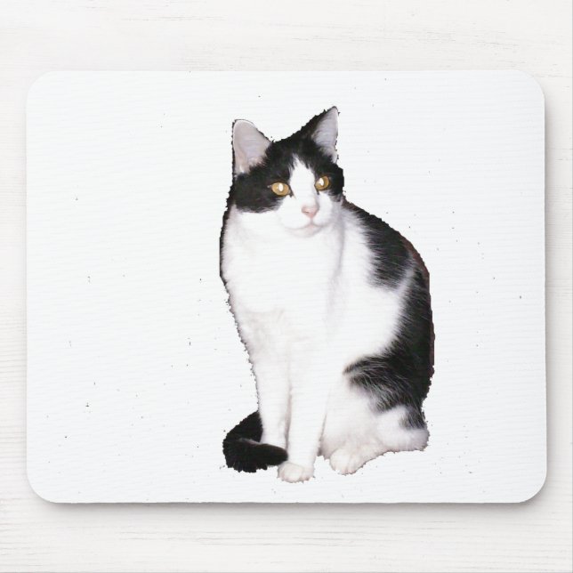 Mousepad Cat 12, Pad do mouse (Frente)