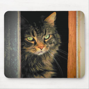 Mousepad Cat. de janela