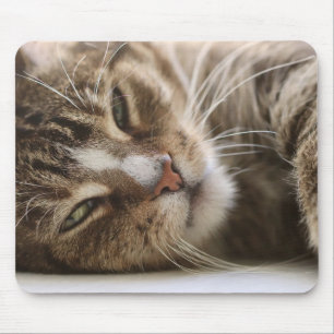 Mousepad Cat, O Pano, Olho de Gato