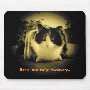 Mousepad Cat quer que ratos saiam e joguem